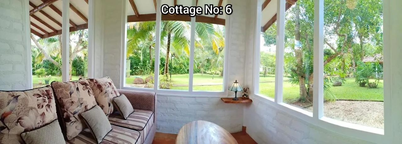 Mango House Japanese Guest House Νεγκόμπο