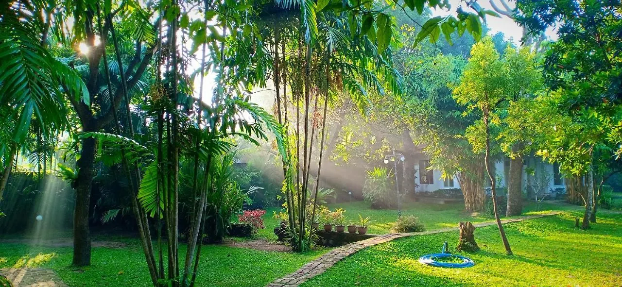 Mango House Japanese Guest House Νεγκόμπο